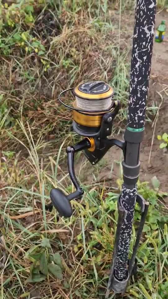 monster catfish