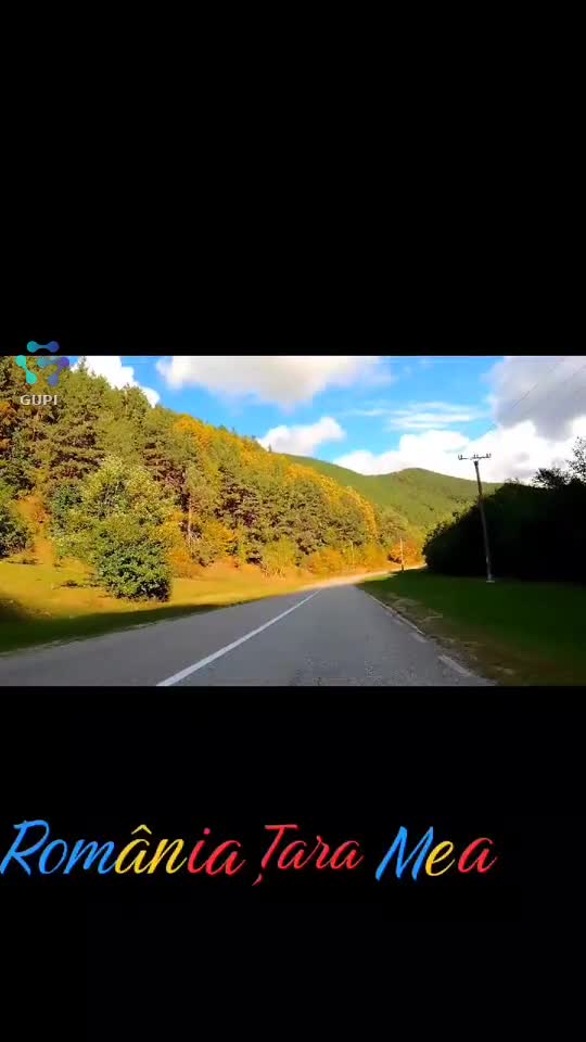 Original Sound - Florea Rica