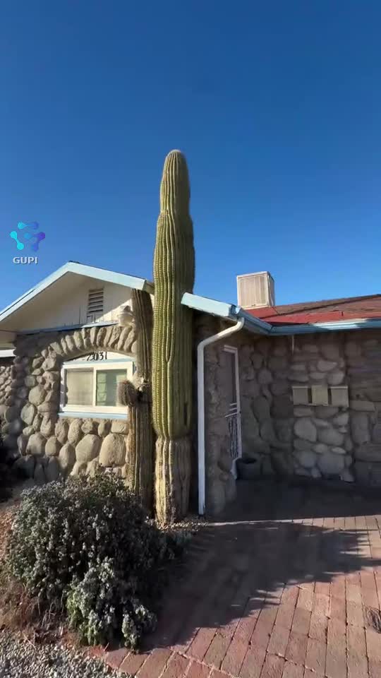 wow