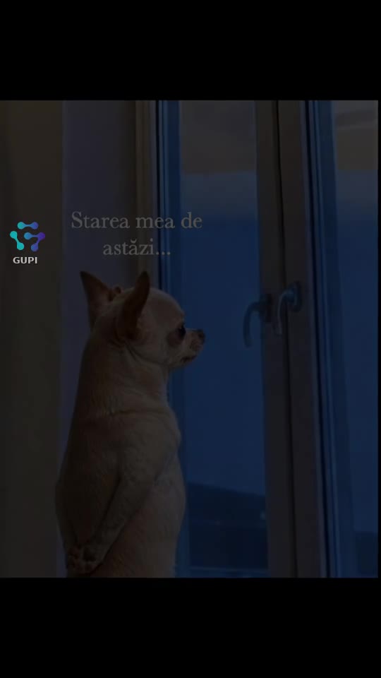 starea mea de astăzi...😁