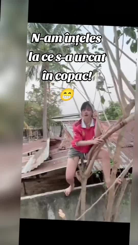 😁🤣😁