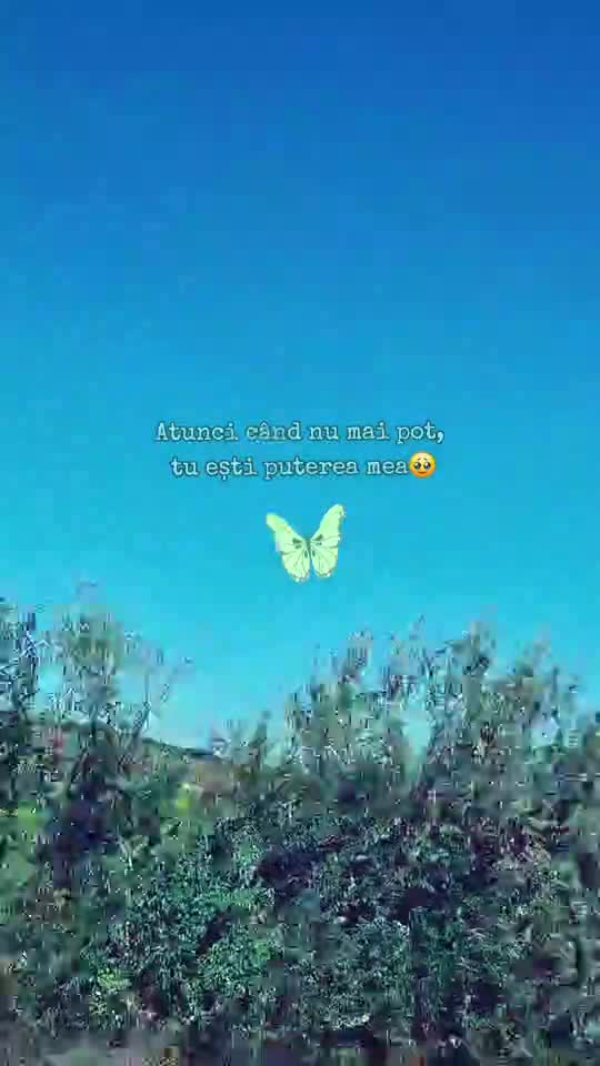 🦋 
 #❤️💙