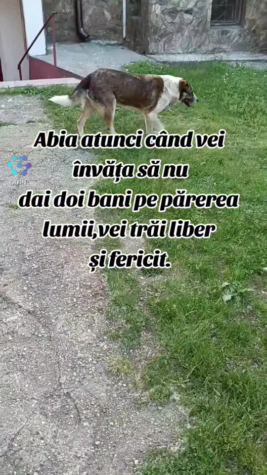 atunci când vei învăța asta...☝️