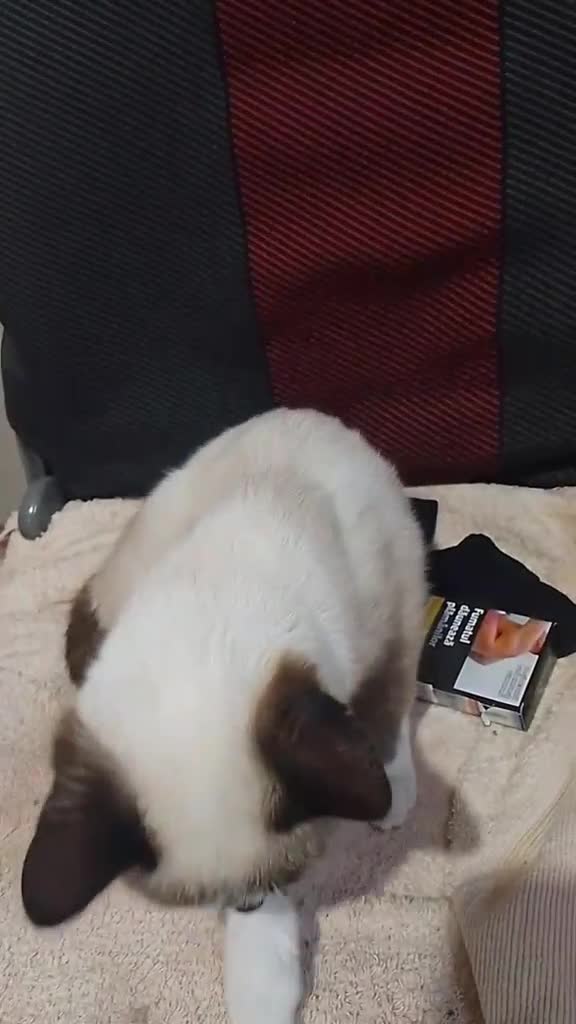 🥰🥰🥰