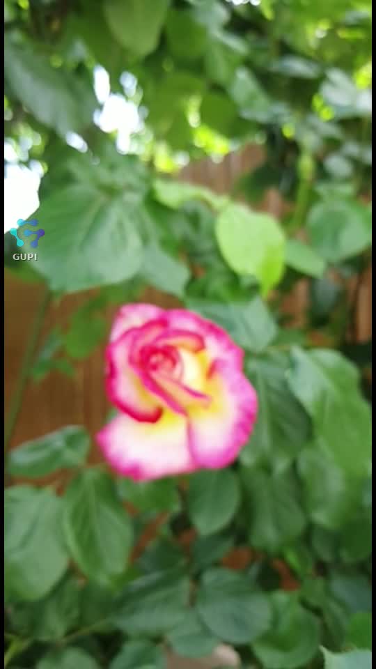 Unde