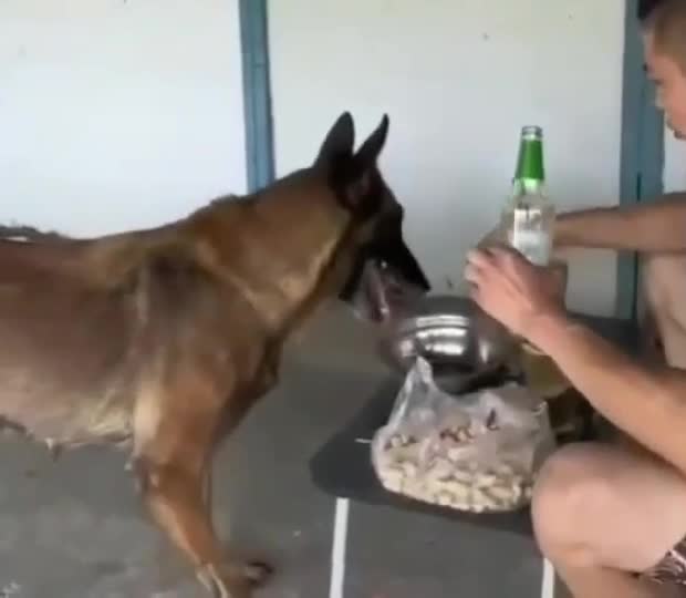 🤣🤣