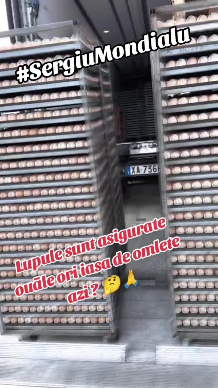 Spargere...de ouã 🤣! 🫡😉🥰