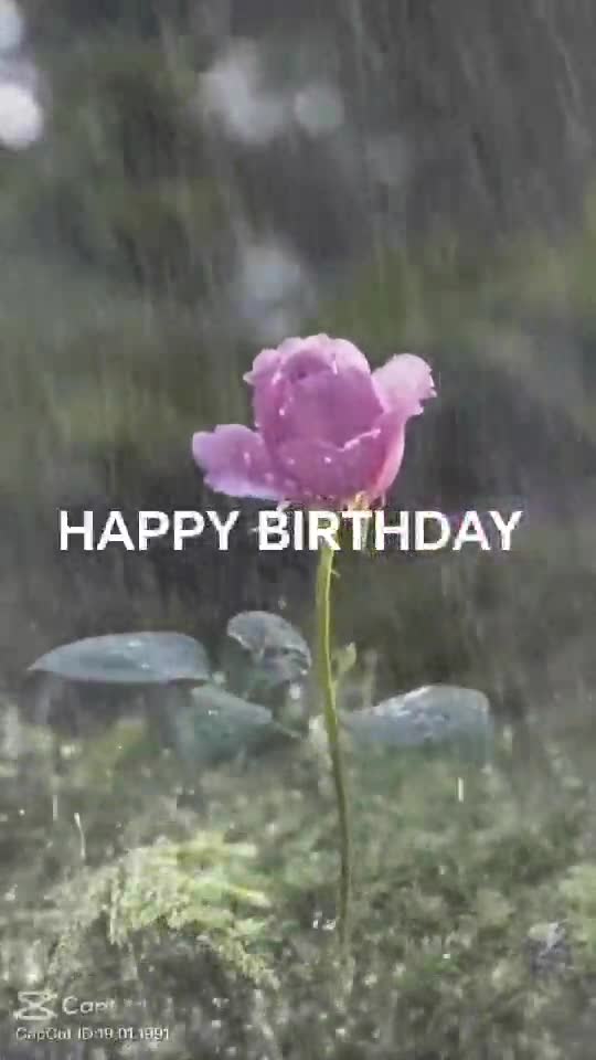 HAPPY BIRTHDAY MIHAELA