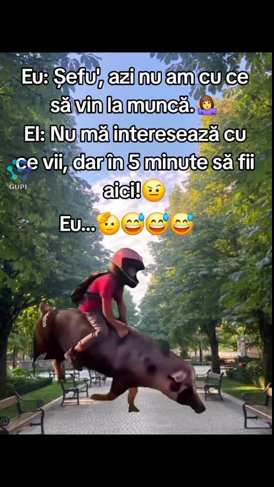 Bună dimineața ☕🦋