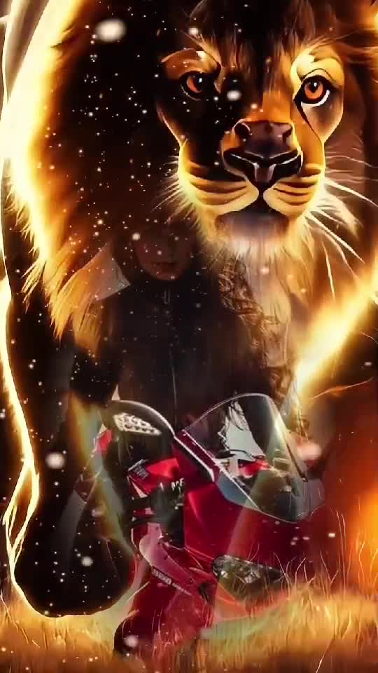 👑👑👑