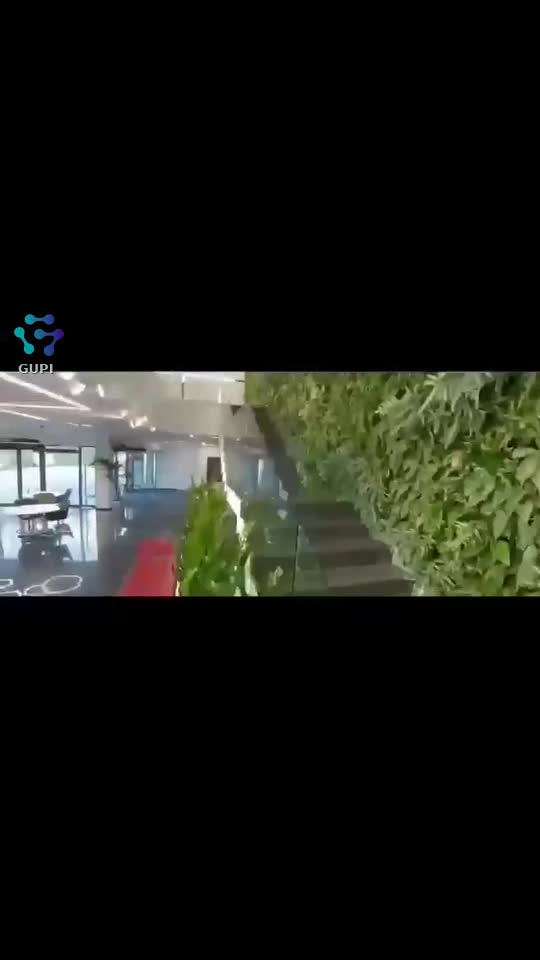 Video de @gupiuser159525