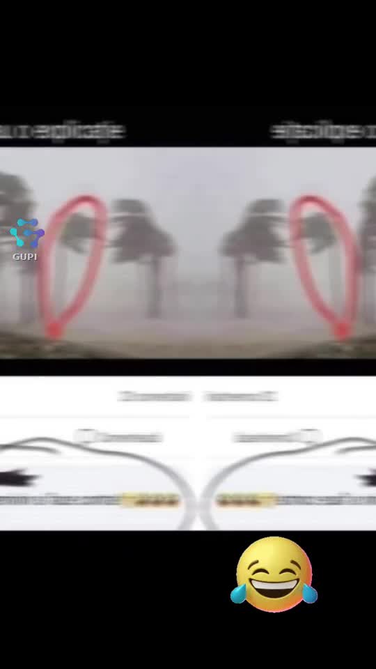 vine și explicația....😂😂😂