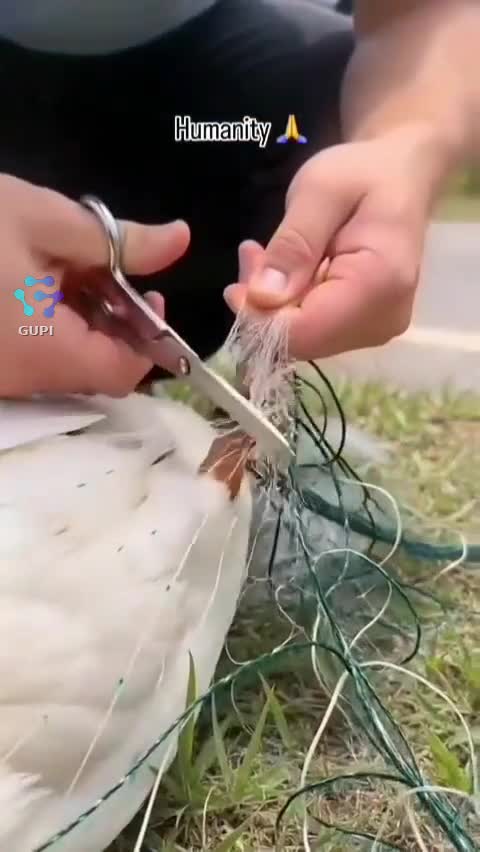 Omul potrivit la locul potrivit!!