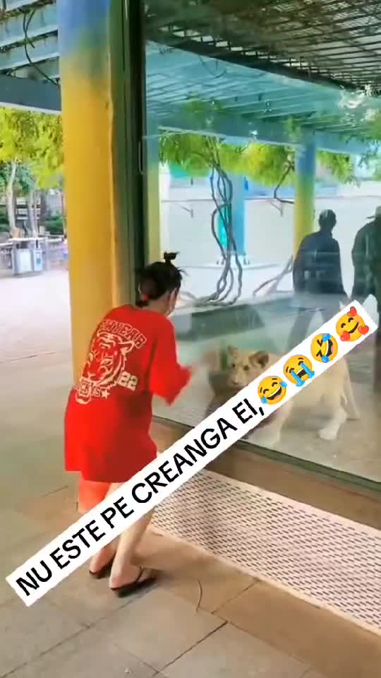 🥳🥳🥳🥳🥳