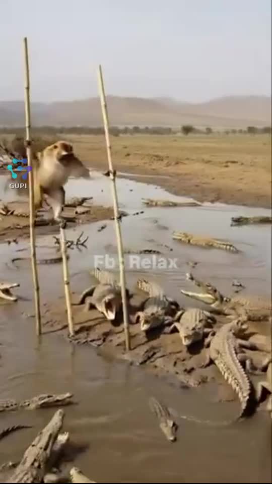 🤣🤣