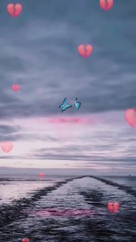 #🦋💙