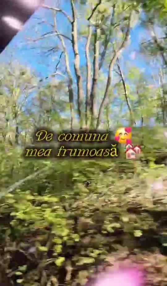 🦋 
 #❤️💙