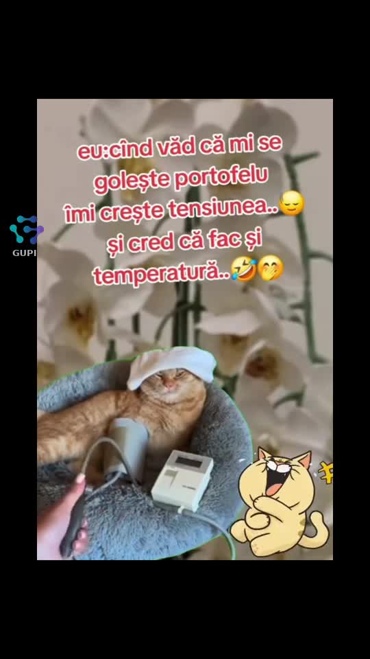 Video de @gupiuser236051