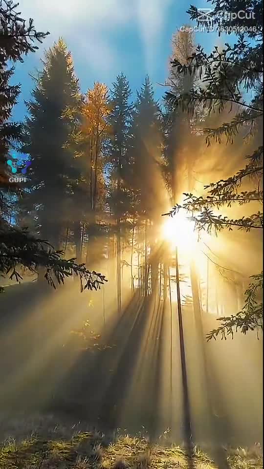 Original Sound - Elena Munteanu