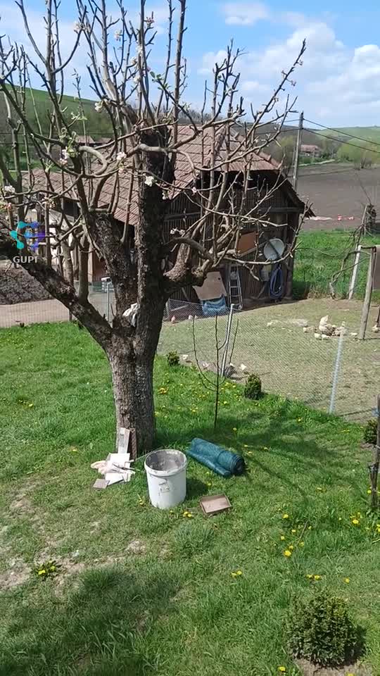 O după-masă frumoasă incontinuare ❤️