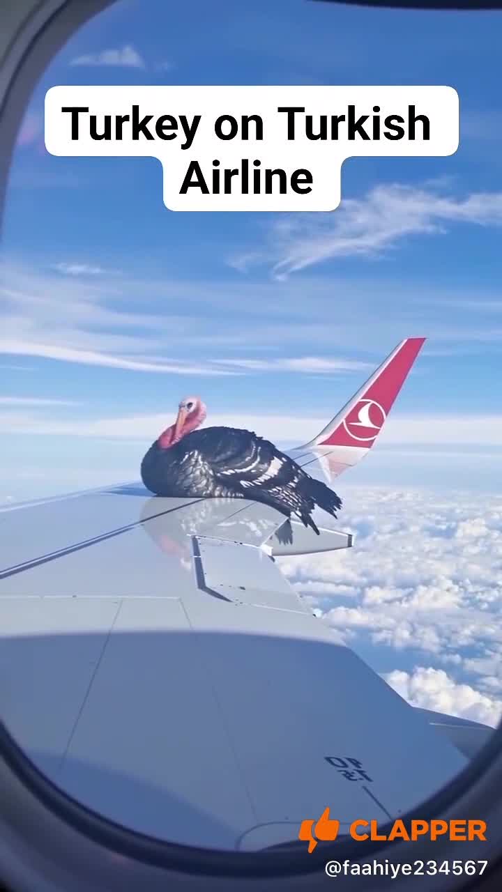 Plec în turcia🤣🤣🤣