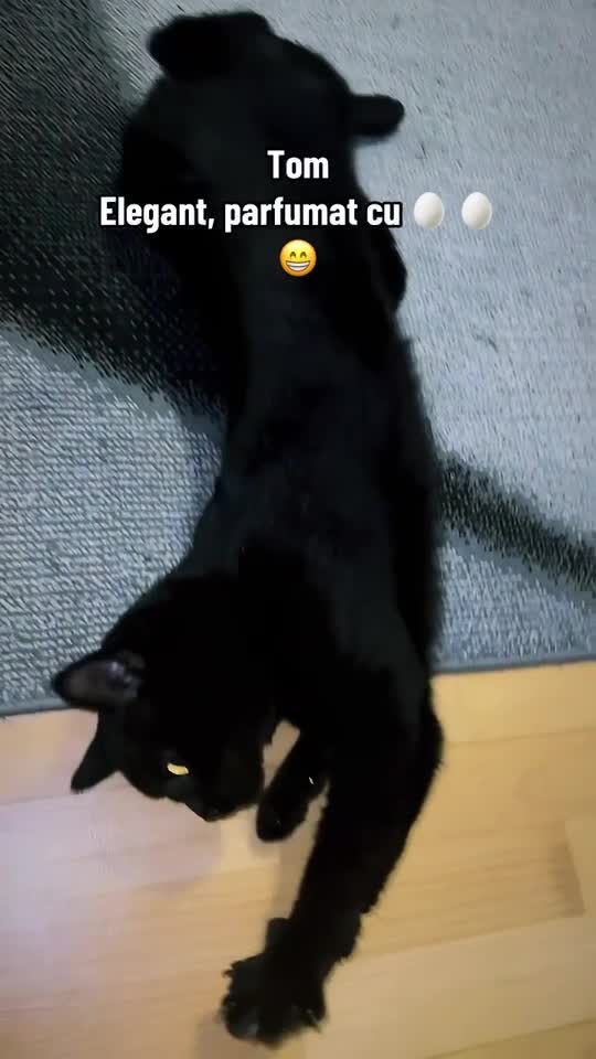 😁😝😅