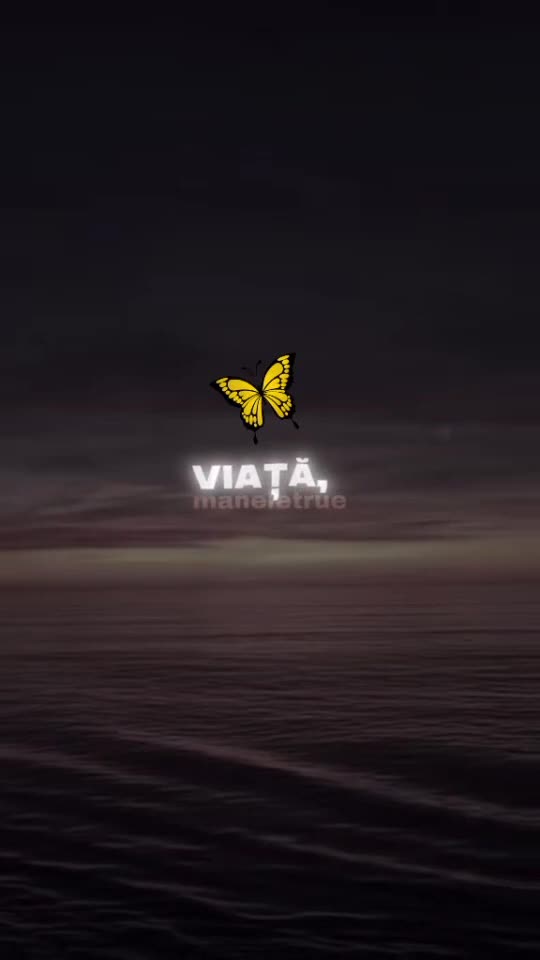 #🦋💙