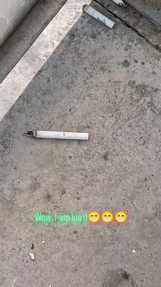 Pamflet! 😂😂😂