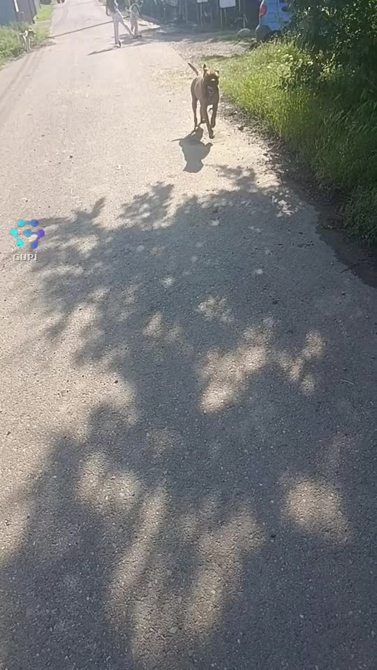 Video