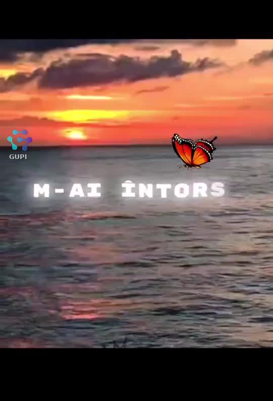 #🦋💙