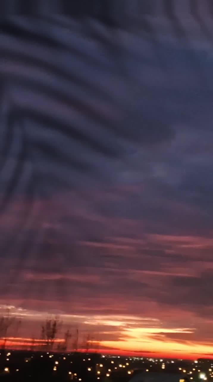 🦋 
 🌊🚢
#❤️💙