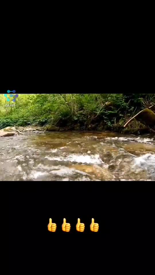 Original Sound - Florea Rica