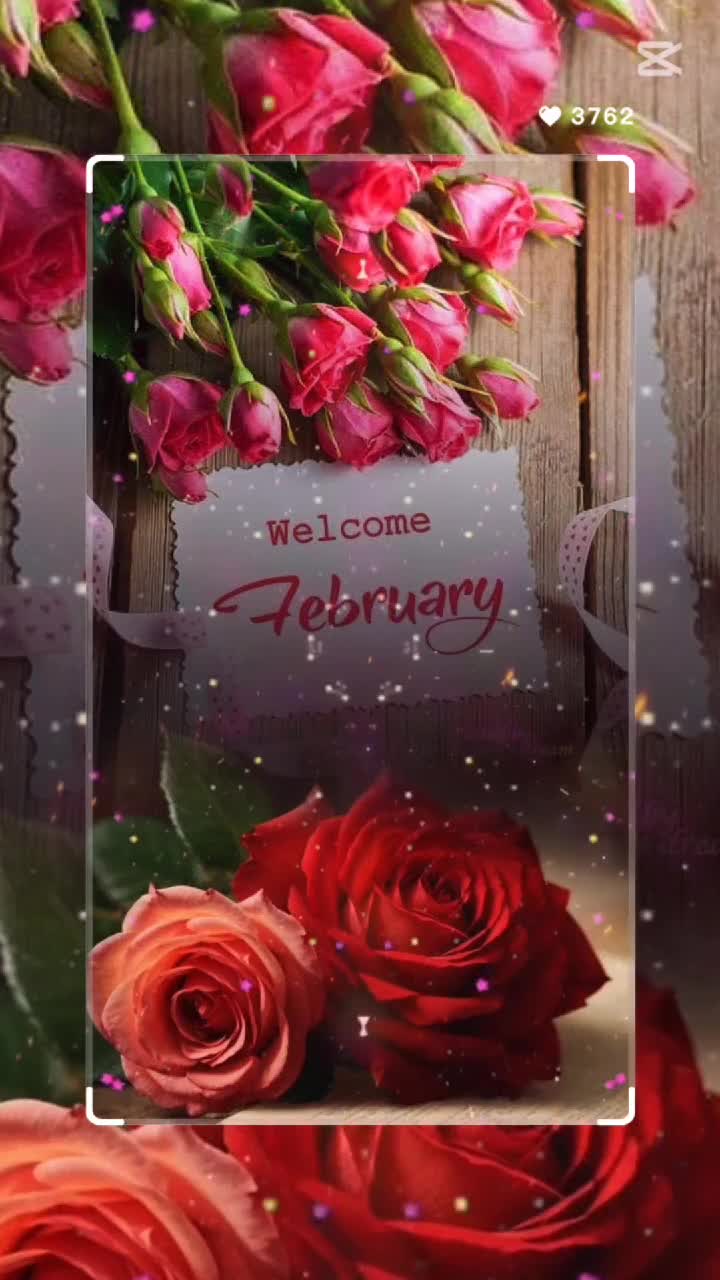 🫶💗