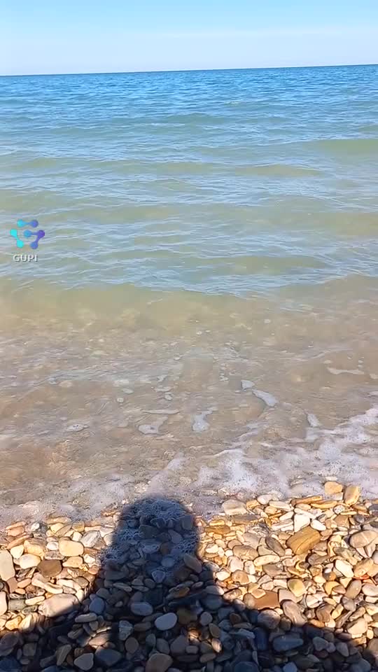 🌊 Peaceful Beach Waves in Real Time