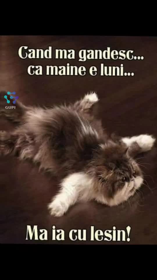 când mă gândesc că mâine e luni...😁😁😁