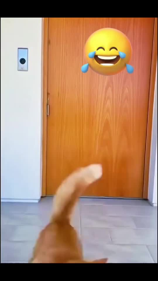 😁😜😁