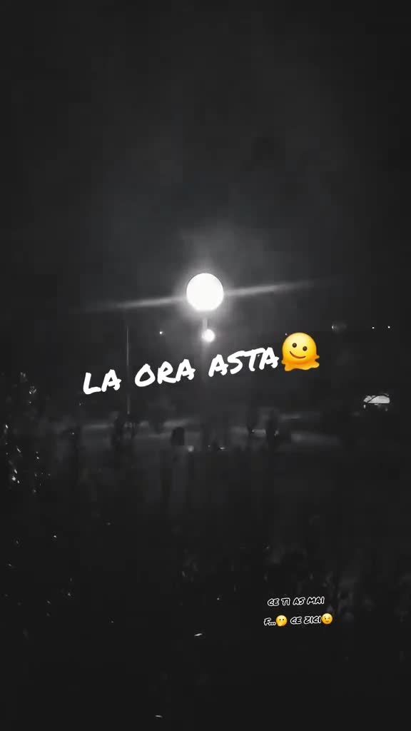 🤣🤣🤣